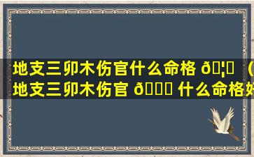 地支三卯木伤官什么命格 🦅 （地支三卯木伤官 🐘 什么命格好）